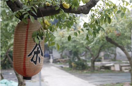 我的好老师:寓教于乐感受大自然的智慧_惠州频