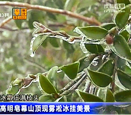 昨日,皂幕山上出现的冰挂。/佛山电视视频截图