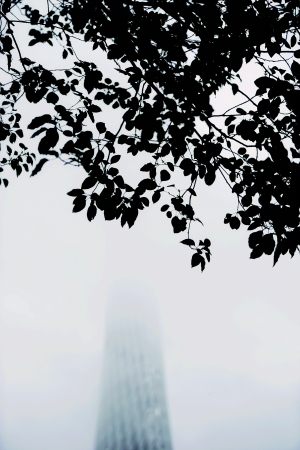 昨日，广州塔在雾雨中中若隐若现。