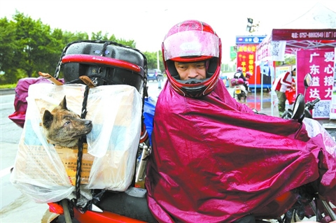 高明收费站摩托大军现高峰 贴心服务温暖返乡