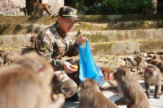 珠海边防官兵与猴相伴迎猴年