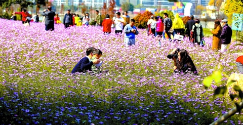 新春享休闲 佛山市民热捧城市升级项目新景_佛