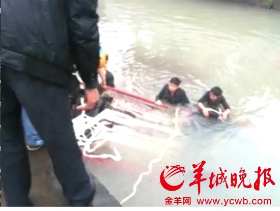 过路群众积极下水施救。(视频截图)