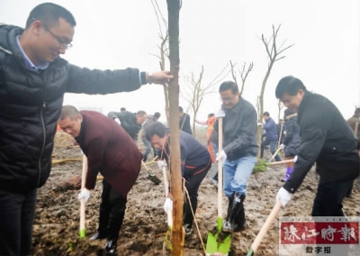 吴志伟(右一)、何战(右二)等区镇领导正铲土植树。