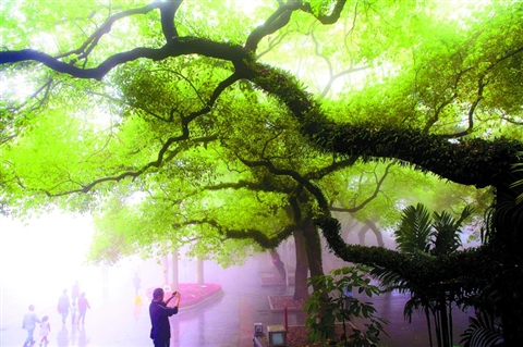 大雾封城冰雹来袭 佛山今明仍有雨雾天气_佛山