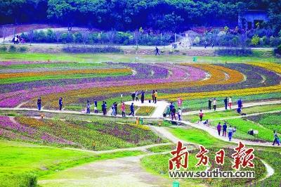 “五宝六景七传说”亮相清溪赏花行