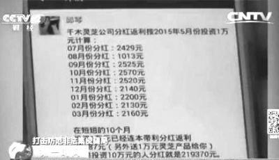 东莞破获“千木灵芝”非法集资案 9万人被骗