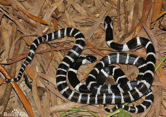 沙巴体育和bb体育区别_建阳新闻网