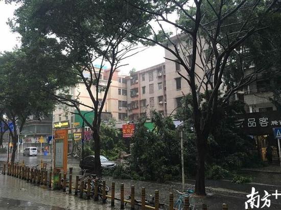 妮妲登陆深圳 3女孩风雨中路边发抖大喊加工资