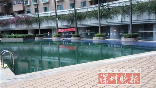(事发泳池 李其聪摄)