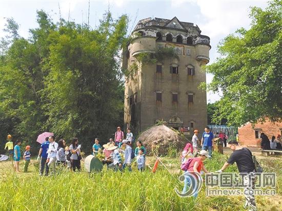 曾被时光遗忘的村落 凤仪里的重生与逆袭 _江