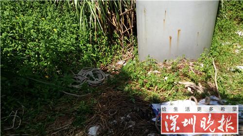 （广告牌底下还有一些绳索。）