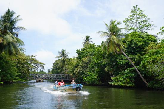 印度洋上的明珠 说不尽的斯里兰卡_湛江频道