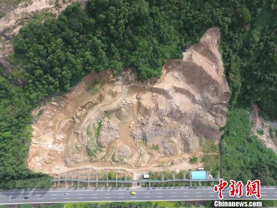 大片林地遭严重破坏 广东查处立案645宗刑拘4