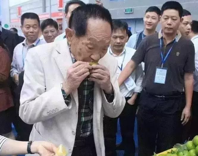 袁隆平点赞山瑶脆柑。资料图片