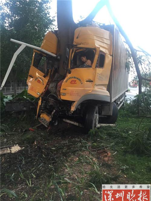 深圳一快递货车撞上大树 车头严重变形司机被