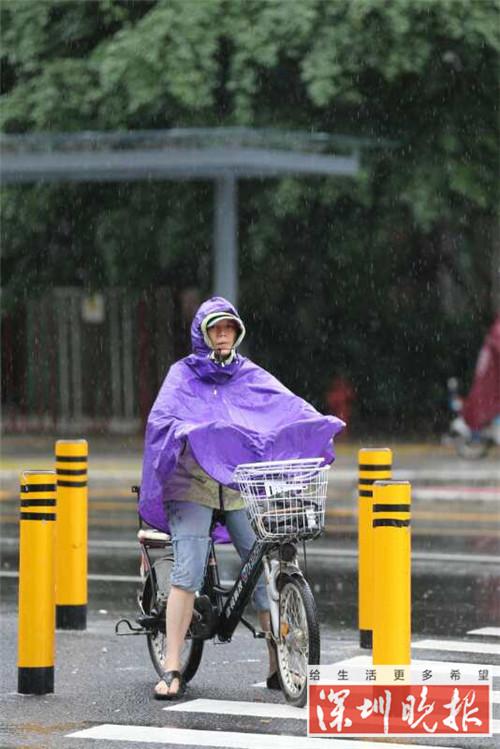 ▲冷风冷雨，男士骑单车的动作也因此迟缓了下来。深圳晚报记者 陆颖 摄