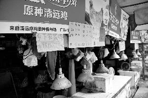 海珠区新港东路海晖菜市场，四家鸡档均已停售活鸡。
