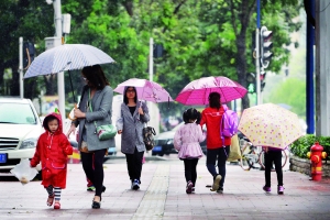昨日下午时分天气变冷，滨江路上随处可见打伞回家的孩子和家长。由于雨水较大，大家都加快了回家的步伐。信息时报记者 郭柯堂 摄