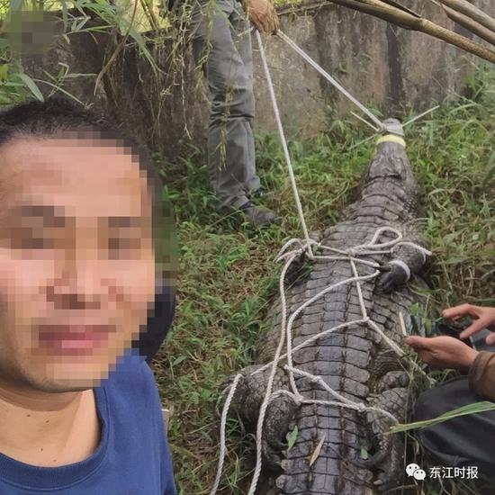(在叶某斌手机调取的照片)