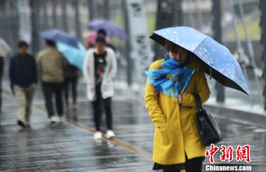 资料图：市民在风雨中出行。杨艳敏 摄