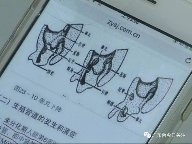 见记者仍在迟疑，他干脆将记者拉进了一个所谓的“顾客群”，群里有人声称服药后确认怀上男孩。