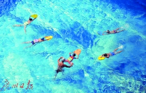 游泳要挑选水质合格的泳池。广州日报全媒体记者卢政摄