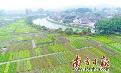 珠海为发展斗门民宿产业 正式启动民宿设计大