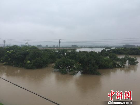 兰江支流梅溪前畈排涝站挡墙发生局部坝体坍塌,导致香溪洲上黄沙圩片陆续进水 周禹龙 摄