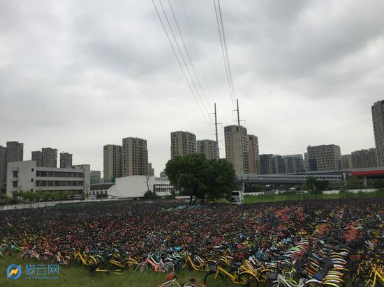 杭州上万辆单车被弃荒野 共享单车变城市垃圾