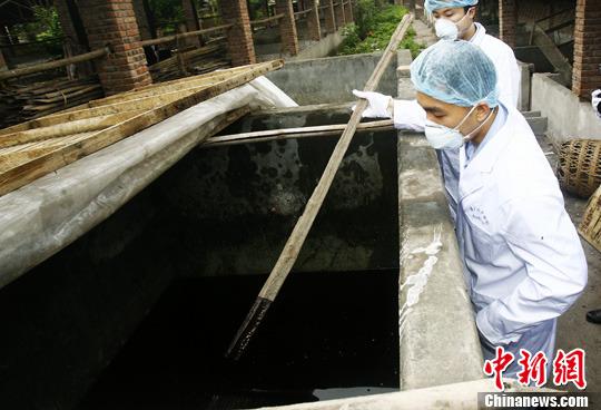 资料图：检测人员对警方查获的制售潲水油窝点内的半成品油进行检测。中新社发 郭晋嘉 摄