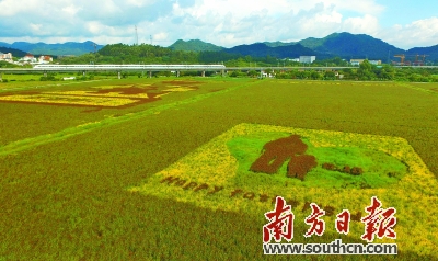 客田枕镇有多少人口_迟营镇有多少人口(3)