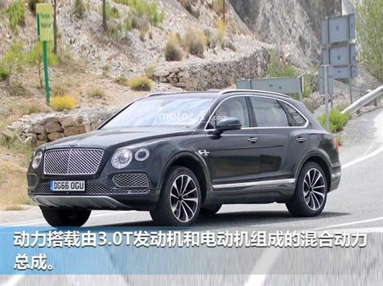 新车,豪华车,热点车型,宾利,插电混动,SUV