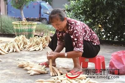 阴菜鲜品品相处理