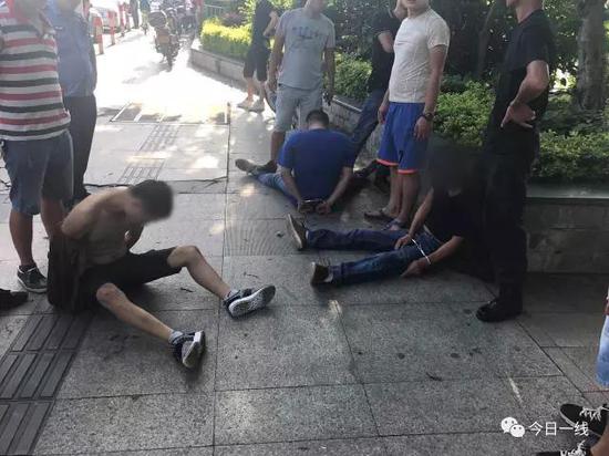 救下一批被盗狗只