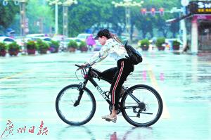 昨日，东莞城区雨水不断。广州日报全媒体记者卢政 摄