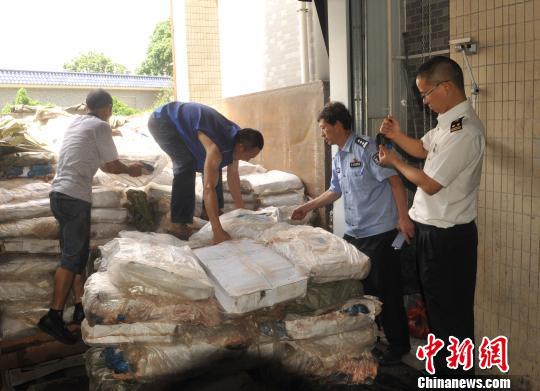 海关关员和海关缉私警察在清点待销毁冻品 陈汉忠 摄
