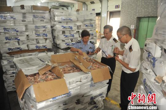 海关关员和海关缉私警察在对待销毁的冻品进行核查　陈汉忠　摄