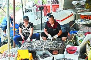 渔港里不少妇女在处理海鱼。