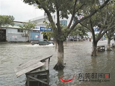 麻涌大面积水浸街