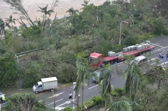 △23日下午，一辆大型货车被倒地的树木阻挡。摄影：蔡颂