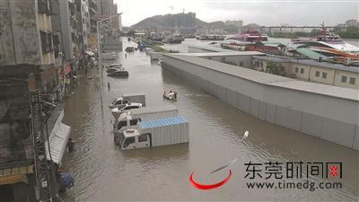 虎门海水倒灌，多辆车被淹