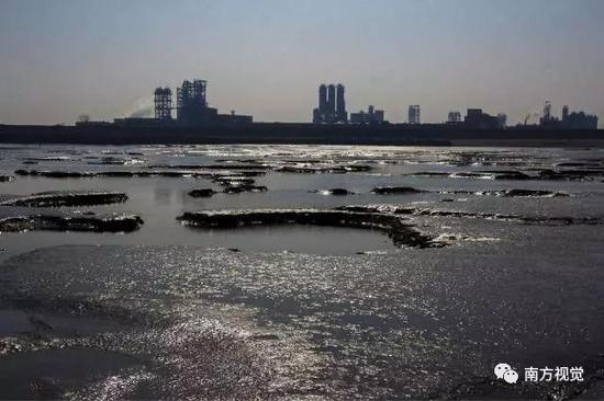 △上海地处长江入海口,濒临东海,是中国的首批沿海开放城市。上海的金山区、奉贤区、浦东新区、宝山区都有海岸线。
