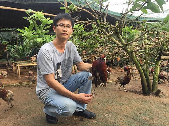 回家养鸡5年，张柏铭瘦了30斤，如今有3家养鸡场，养着10多万只鸡，是“罗定山鸡王”