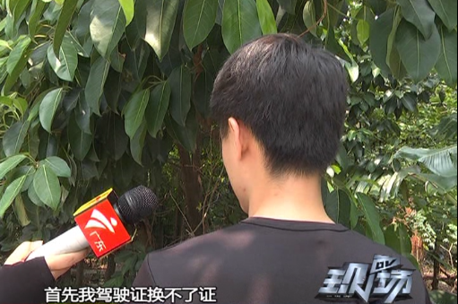 男子换驾照被告知市外多宗违章未处理:从未出