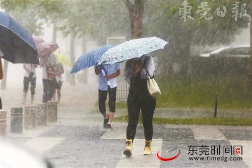 市民冒雨行走 本报记者 程永强 摄