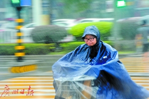 雨中穿行。 广州日报全媒体记者葛宇飞摄