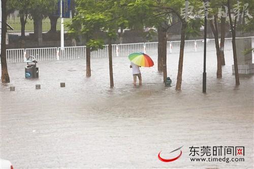 9月4日，强降雨致多个镇街出现内涝现象。图为南城石竹路严重水浸（记者 程永强 摄）