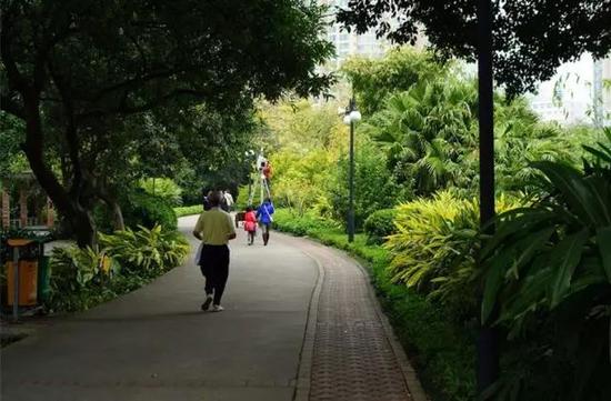 地址:广州市海珠区前进路146号