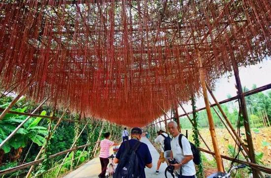地址:广州市南沙区东涌镇大稳村